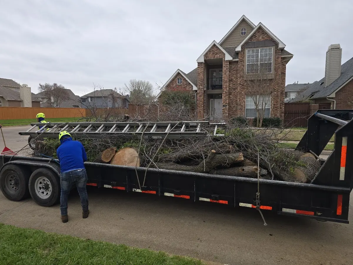 Expert Tree Fertilization with proper safety equipment in Blounts Creek